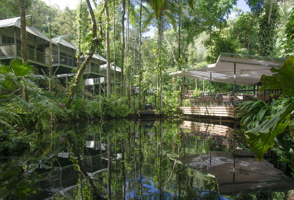 The pond at the Daintree Eco Lodge bordered by the restaurant and lodges.
